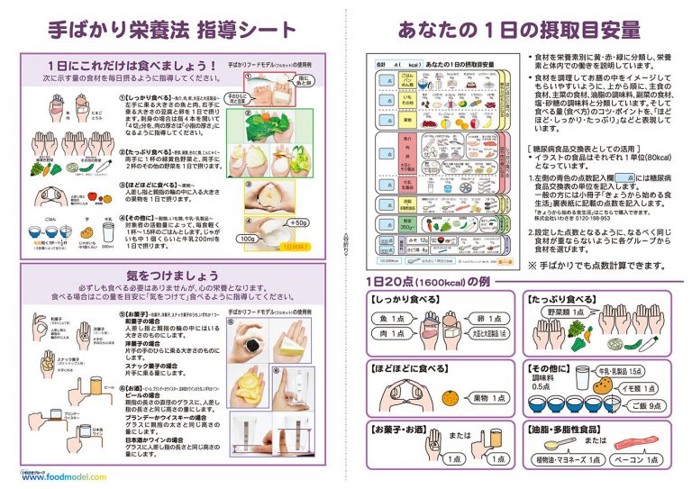 手ばかり栄養法 指導者用解説書ダウンロード | フードモデルドットコム